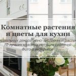 цветы и растения в интерьере кухни