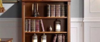 Книжные шкафы и стеллажи в современном интерьере 36 фото