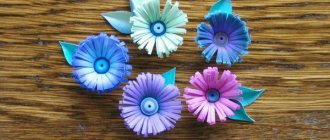 Delicate asters made of purple paper