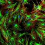 светящийся рисунок