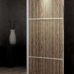 Options for two-door sliding wardrobes, review of models