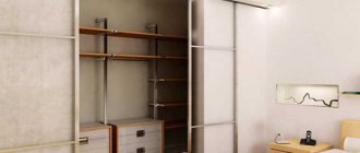 Встроенные шкафы под гардеробную, обзор моделей