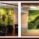 Living wall of plants in the apartment