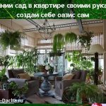 зимний сад в квартире своими руками