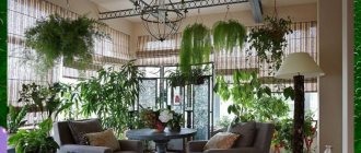 зимний сад в квартире своими руками